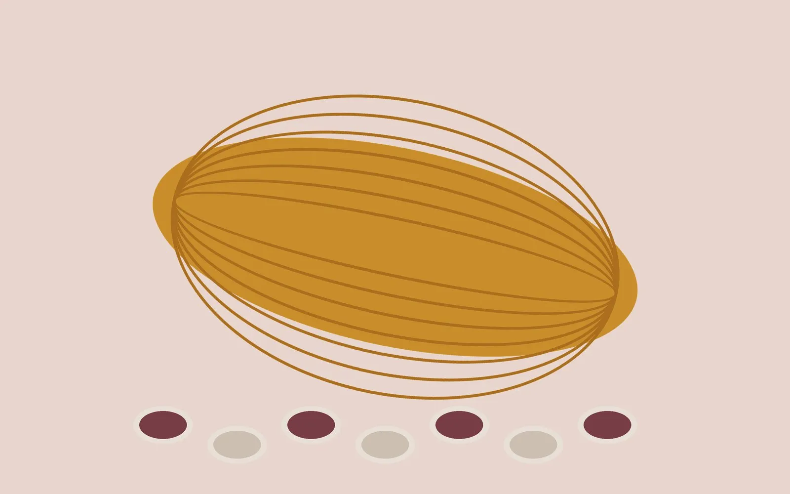 Illustration of an open cacao pod with beans below it
